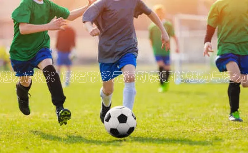 凯发K8官网首页登录