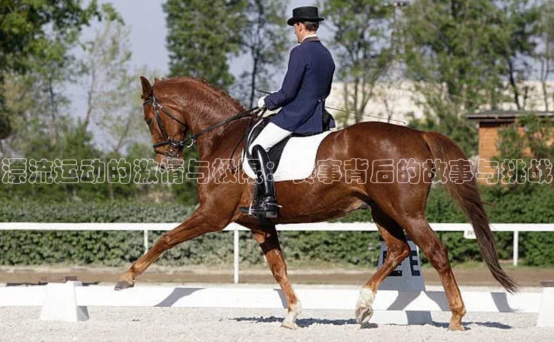 凯发K8娱乐官网入口